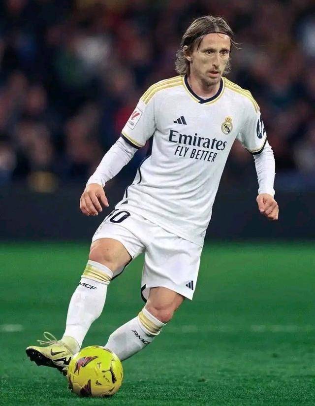 河南省首家马术高职专业正式签约——填补省内高职马术教育空白